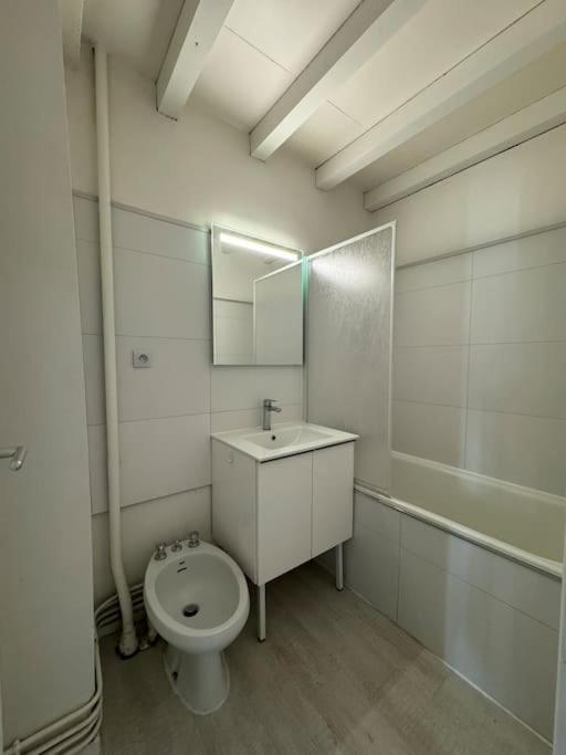 Joli T3 Duplex Compans Cafarelli Toulouse
